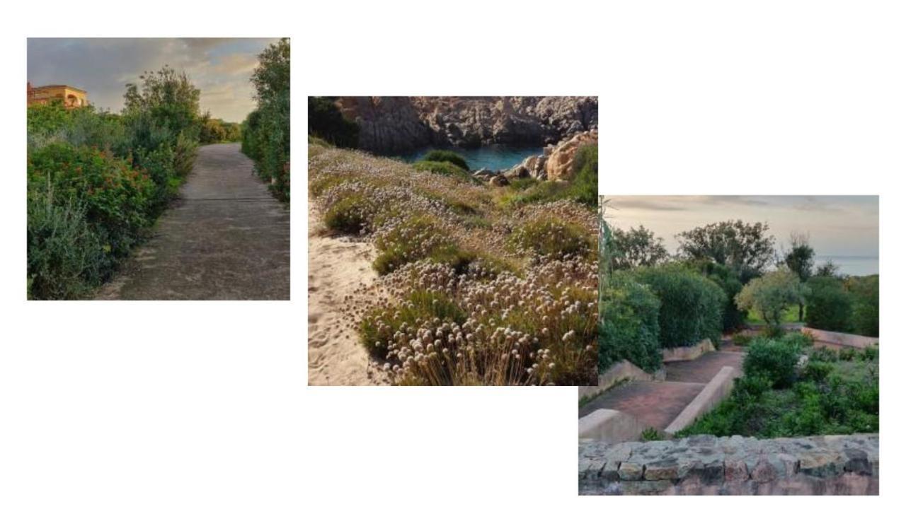 Vacanze In Natura Incontaminata "Casa Vacanza Francesca" Isola Rossa (Sassari) Exterior foto
