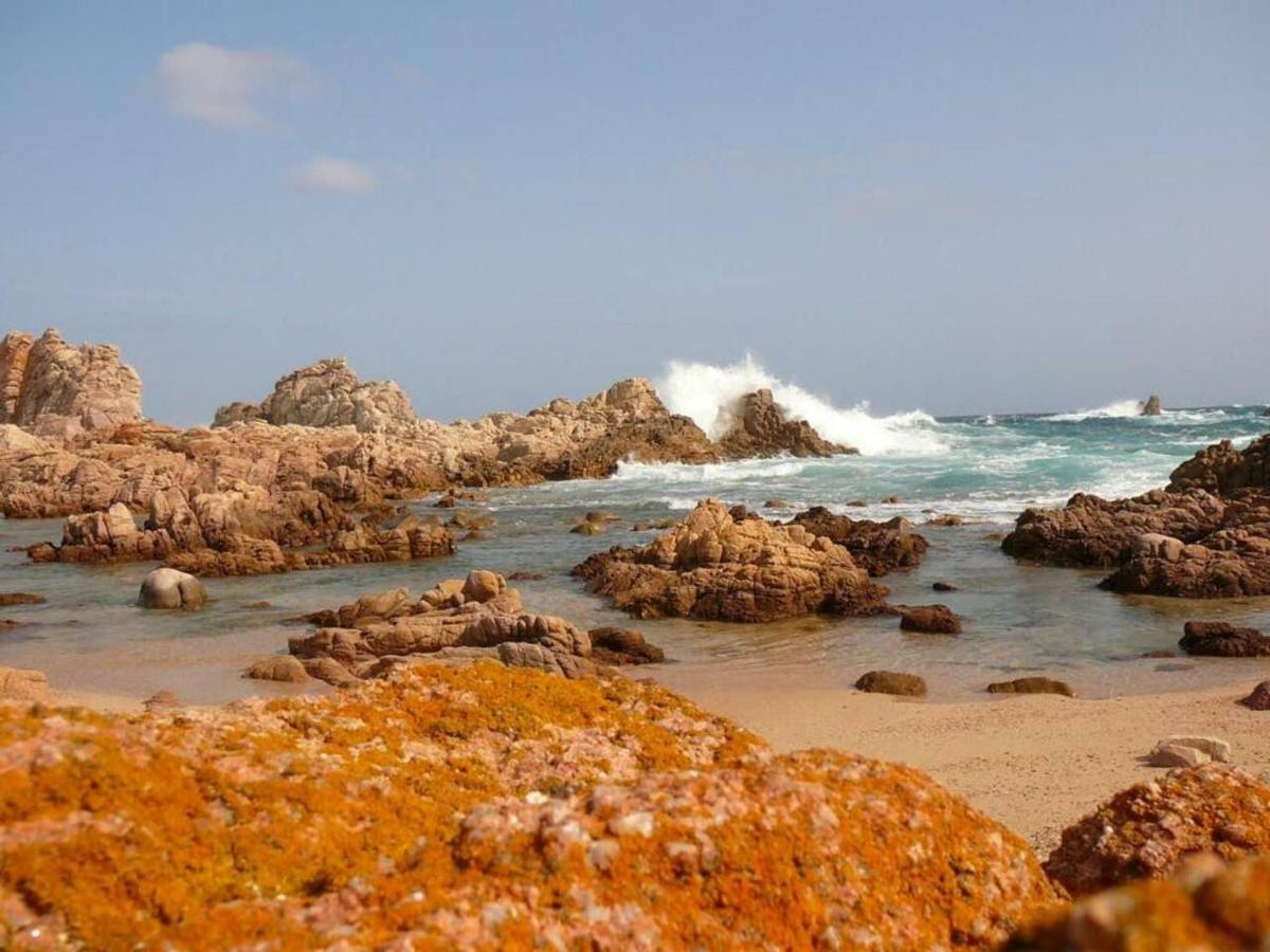 Vacanze In Natura Incontaminata "Casa Vacanza Francesca" Isola Rossa (Sassari) Exterior foto