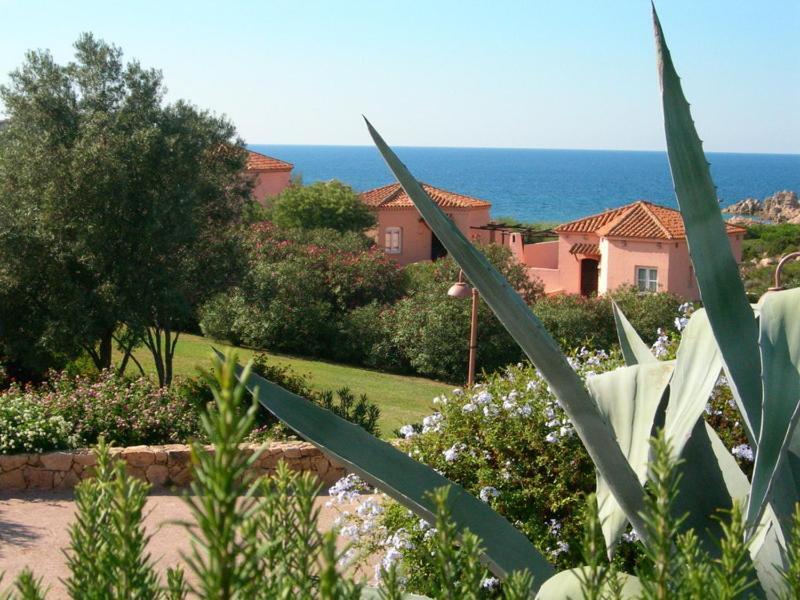Vacanze In Natura Incontaminata "Casa Vacanza Francesca" Isola Rossa (Sassari) Exterior foto